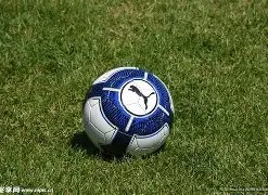 岁意大利门,将西里古加,盟尼斯,皇冠体育,皇冠体育官网,在线体育博彩,皇冠体育投注,体育赛事,体育投注平台