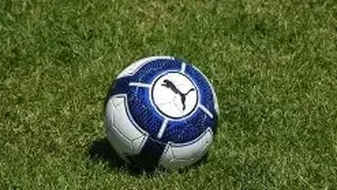 36岁意大利门将西里古加盟尼斯，罗马诺透露免签详情